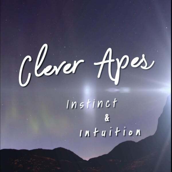 Cover art for Instinct & Intuition
